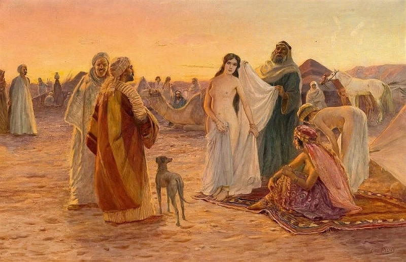 La bellezza nel deserto